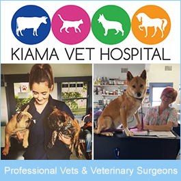 Kiama Veterinary Hospital