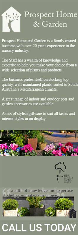 Prospect Home & Garden