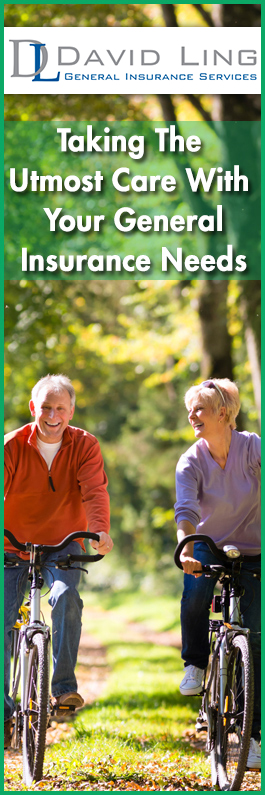 David Ling General Insurance Services