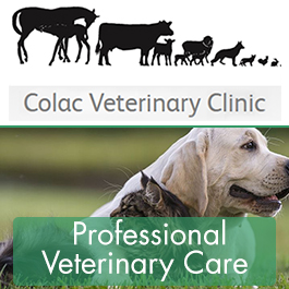 Colac Veterinary Clinic