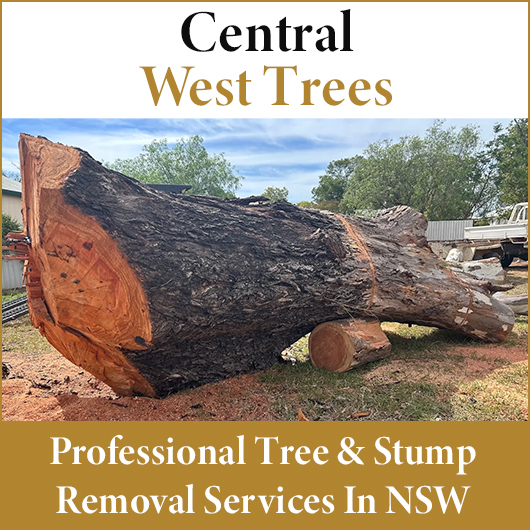 Central west trees