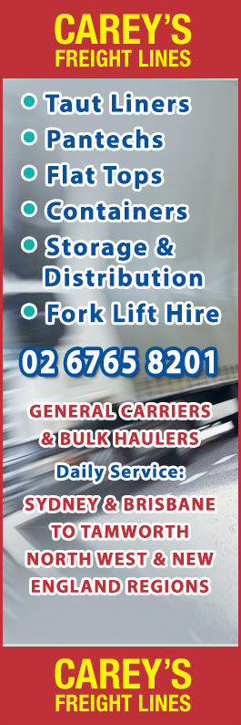 Carey's Freight Lines