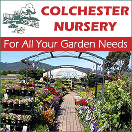 Colchester Nursery
