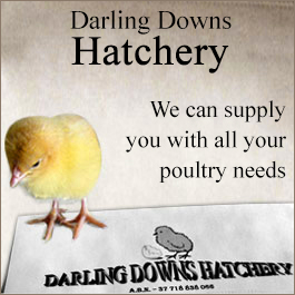 Darling Downs Hatchery