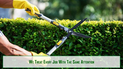 Riverina Tree Services Hero Image