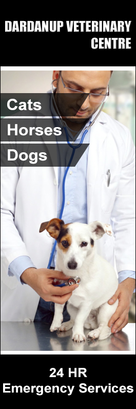 Dardanup Veterinary Centre