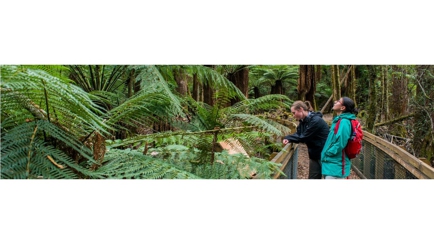 Natural Resources and Environment Tasmania Department of - AgriGrowth Tasmania Hero Image