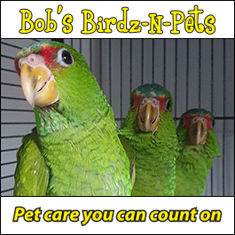 Bob's Birdz-N-Pets