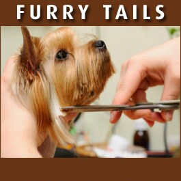 Furry Tails