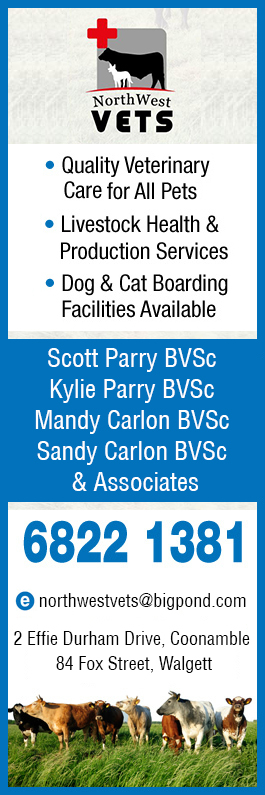 NorthWest Vets