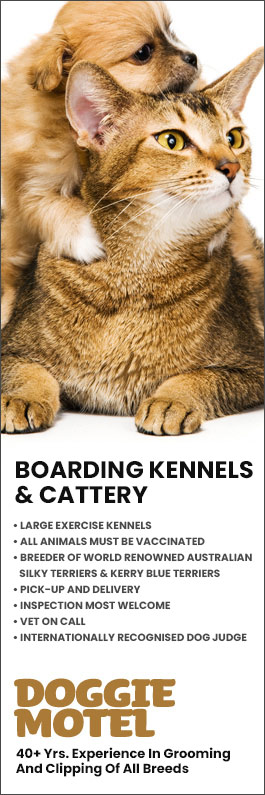 Doggie Motel & Cattery
