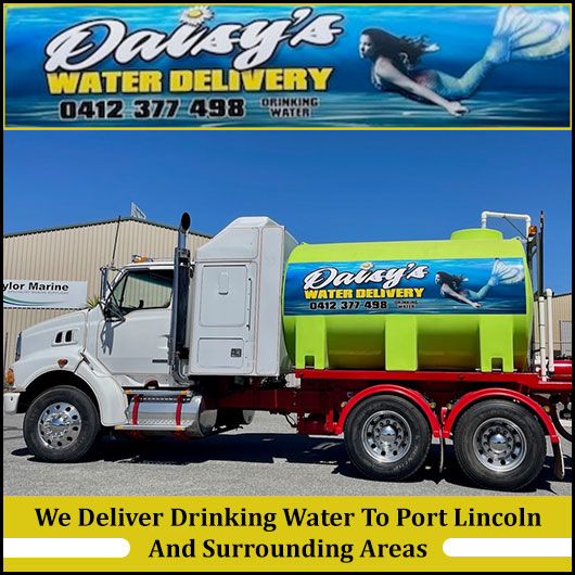 Daisy's Water Delivery