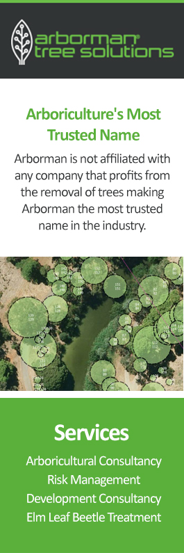 Arborman - Tree Solutions