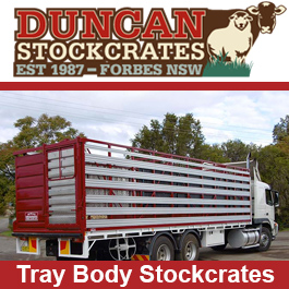 Duncan Stockcrates
