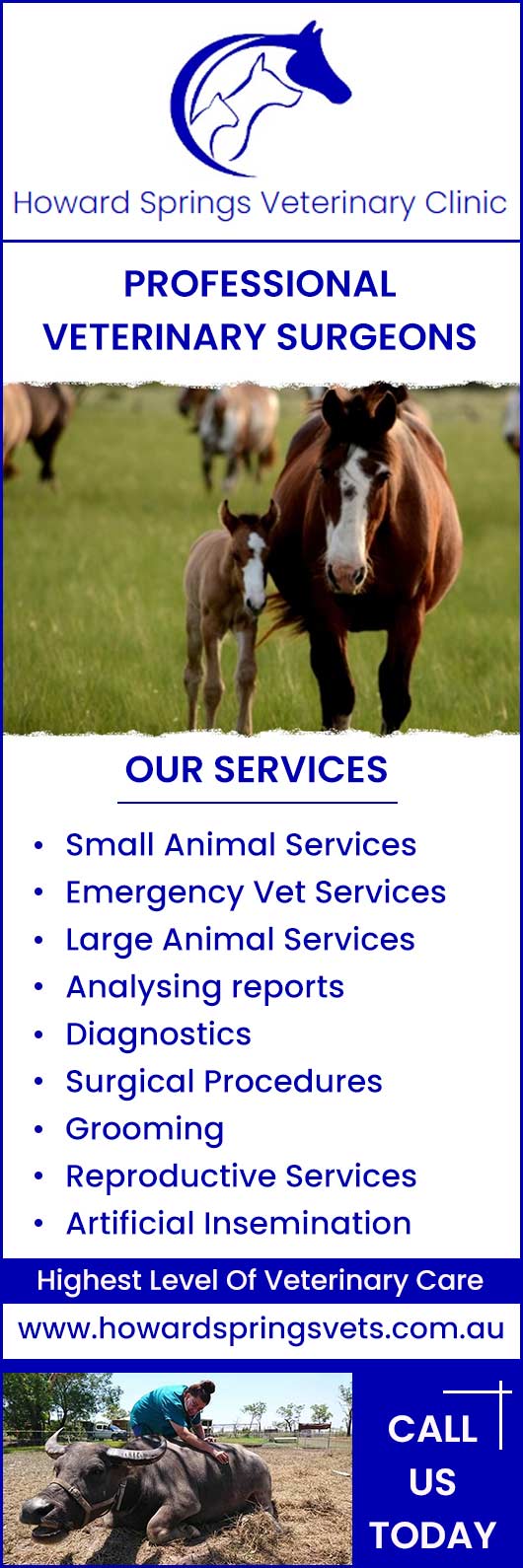 Howard Springs Veterinary Clinic