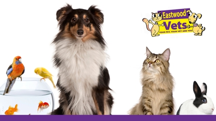 Eastwood Veterinary Clinic Hero Image