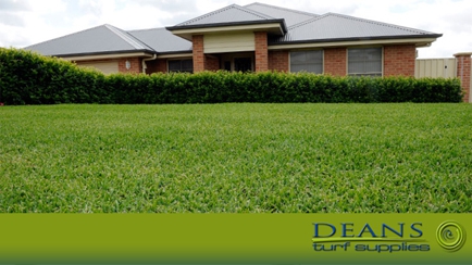 Deans Turf Supplies Hero Image