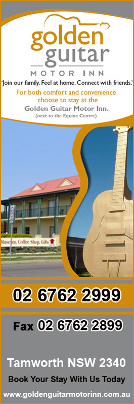 Golden Guitar Motor Inn
