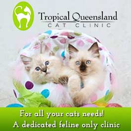 Tropical Queensland Cat Clinic