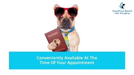 Sunshine Beach Veterinary Surgery Hero Image