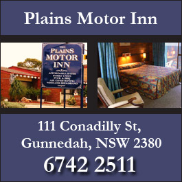 Plains Motor Inn The