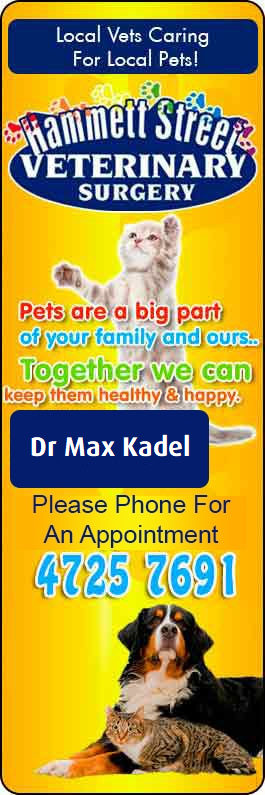 Hammett Street Veterinary Surgery
