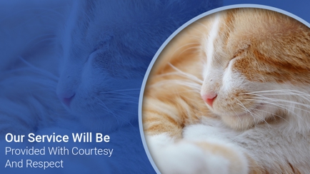 Belmont Avenue Veterinary Hospital Hero Image