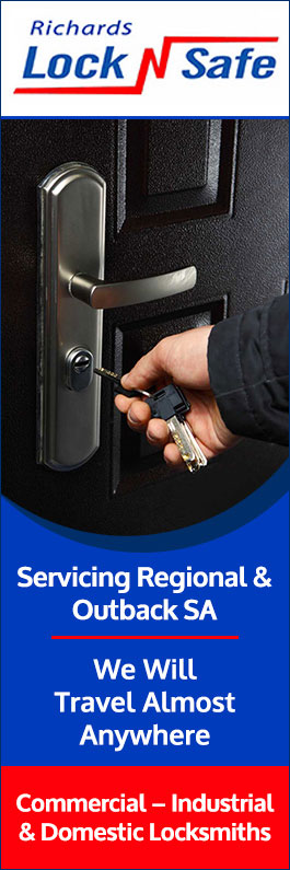 Richards Lock N Safe