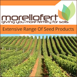 Morellofert