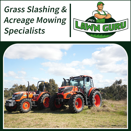 Mr Lawn Guru