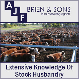 Brien A J F & Sons