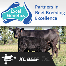 Excel Genetics