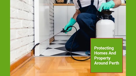 BP Homecare Pest Control Hero Image