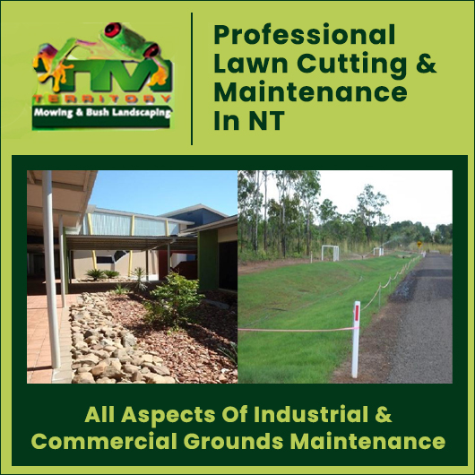 Territory Mowing & Bush Landscaping