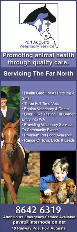 Port Augusta Veterinary Services