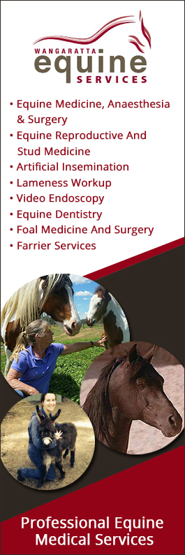 Wangaratta Equine Services