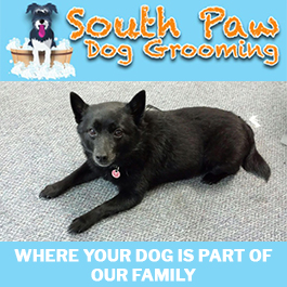 South Paw Dog Grooming