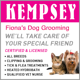 Fiona's Dog Grooming