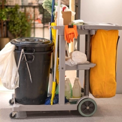 Mint Cleaning and Maintenance Services Hero Image