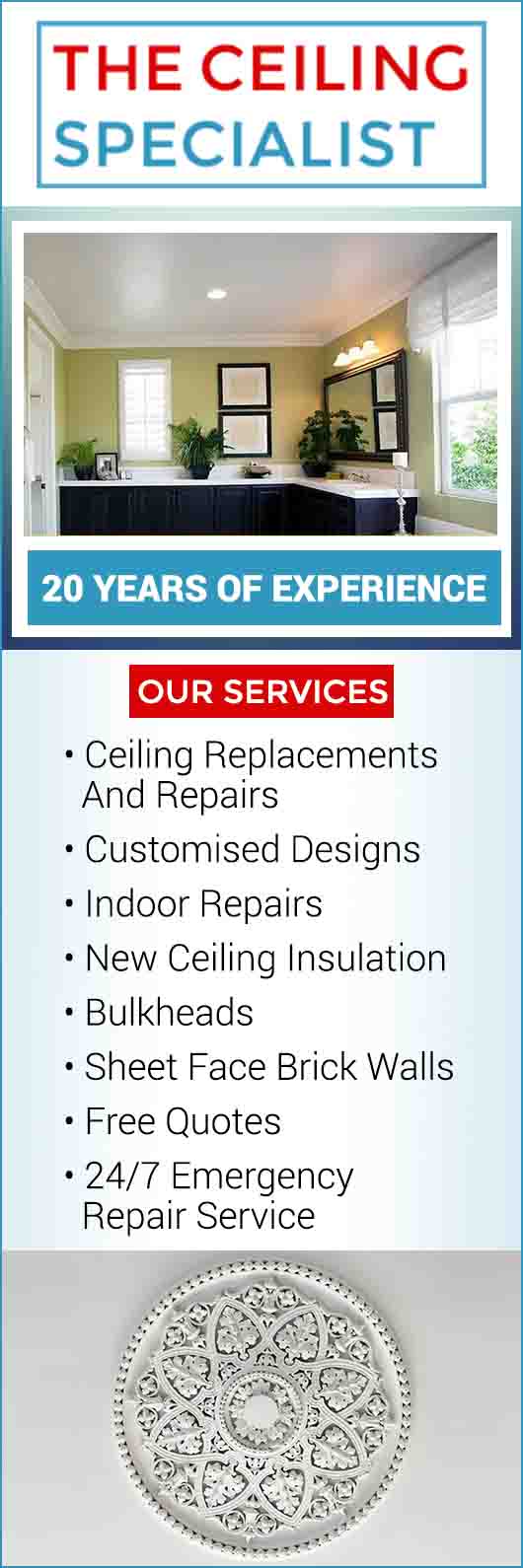 The Ceiling Specialist