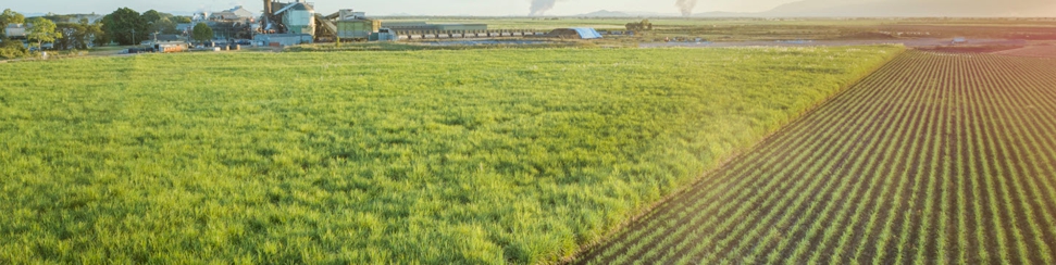 Wilmar Sugar Australia Limited - Mackay Region - Proserpine Mill Hero Image