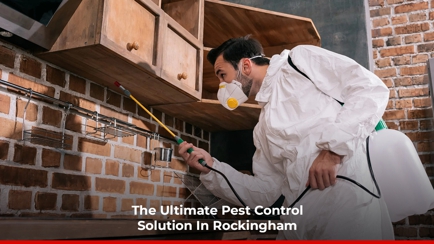 Rockingham Pest Control Hero Image