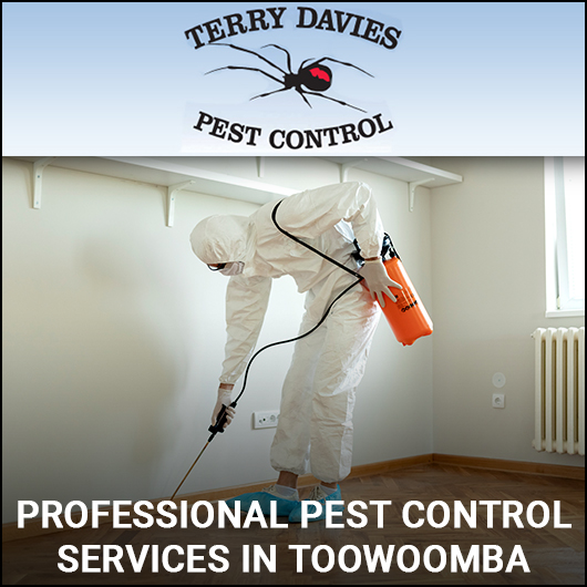 Terry Davies Pest Control