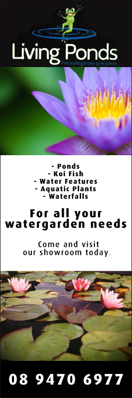 Living Ponds