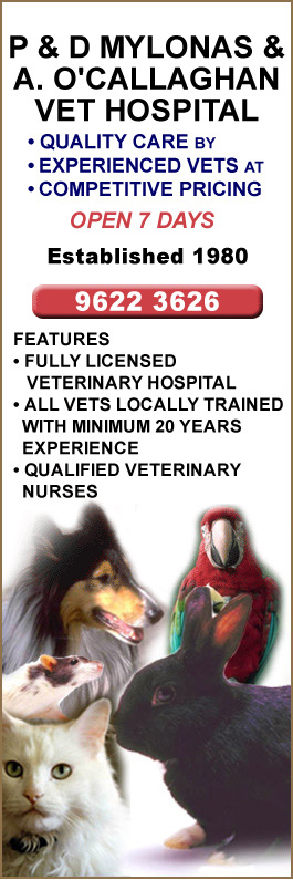 Mylonas & O'Callaghan Vet Hospital