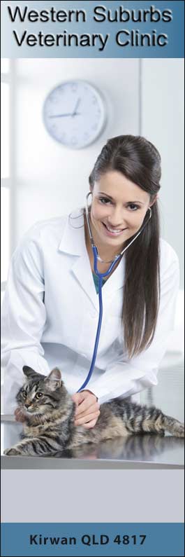 Western Suburbs Veterinary Clinic
