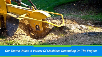 Affordable Stump Grinding Hero Image