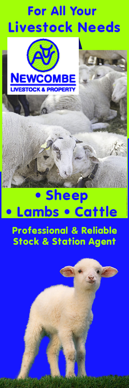 Newcombe Livestock & Property