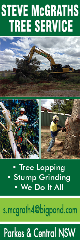 Steve McGrath's Tree Service