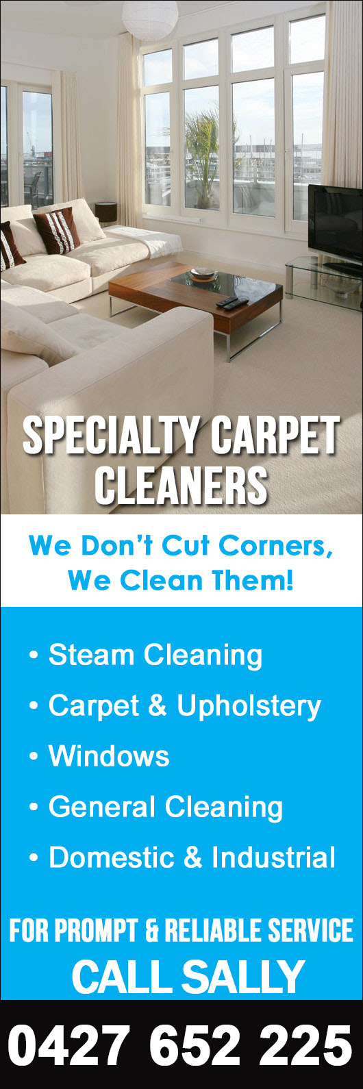 Specialty Carpet Cleaners